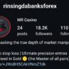 Mr Casino 2024 Mentorship