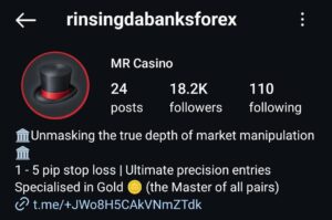Mr Casino 2024 Mentorship