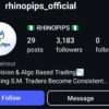 Rhinopips 2024 Mentorship