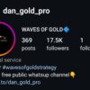 dan_gold_pro (Waves of Gold)