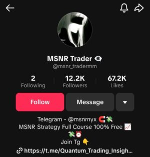 MSNR Trader